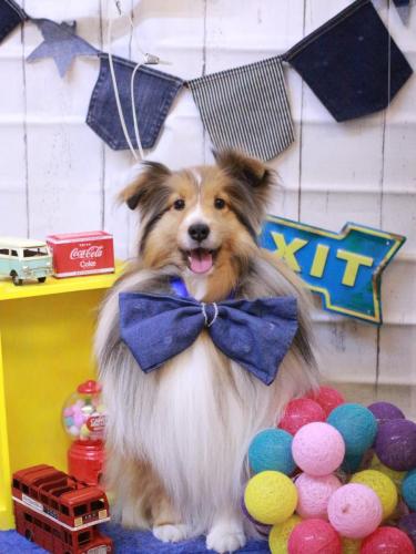 20230418ノアくん